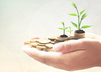 Harnessing Entrepreneurship for Sustainable Development