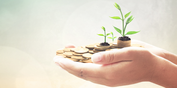 Harnessing Entrepreneurship for Sustainable Development