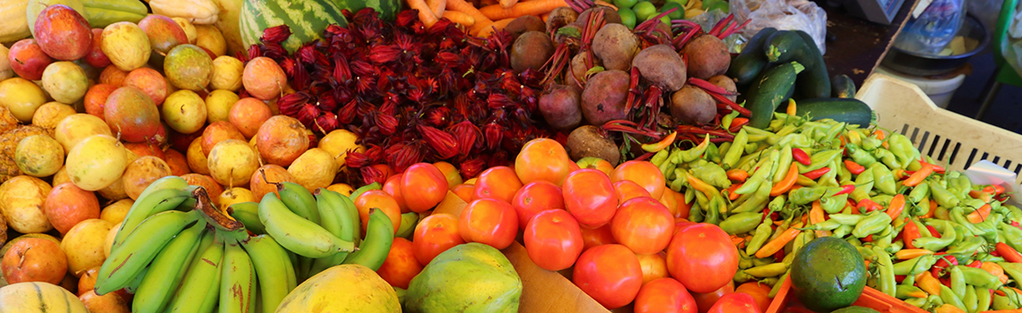 Unlocking the Future of Agriculture: Providing Comprehensive Agribusiness Support to Agri-preneurs