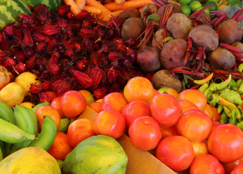 Unlocking the Future of Agriculture: Providing Comprehensive Agribusiness Support to Agri-preneurs